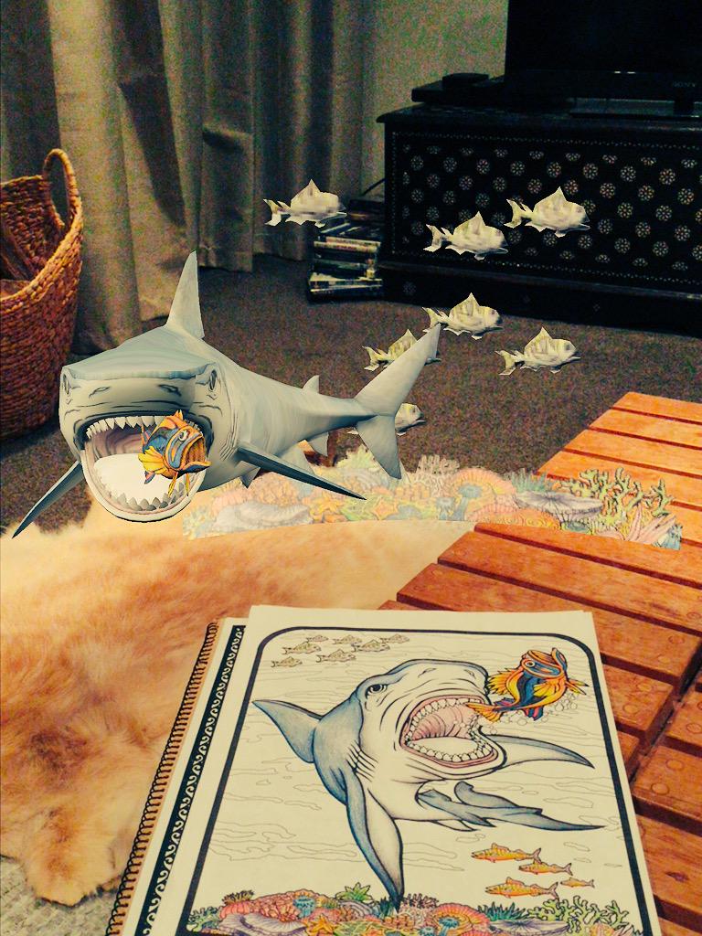 quivervision's tweet photo. @GuardianWitness This is how we celebrate #WorldOceansDay. #shark #hectorsdolphin #AugmentedReality #eduapp http://t.co/Em00sbOgxM
