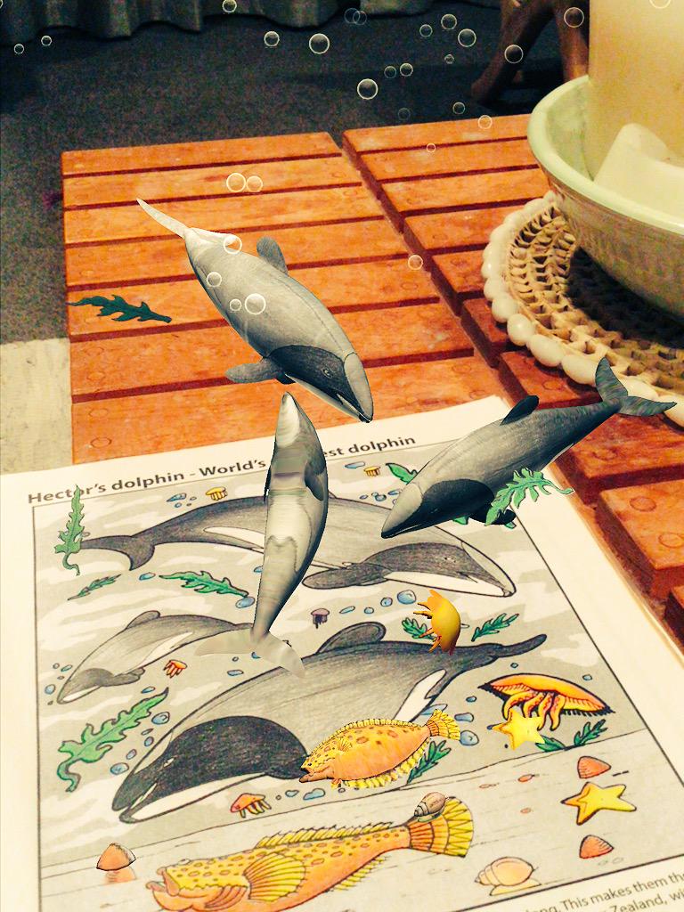 @GuardianWitness This is how we celebrate #WorldOceansDay. #shark #hectorsdolphin #AugmentedReality #eduapp