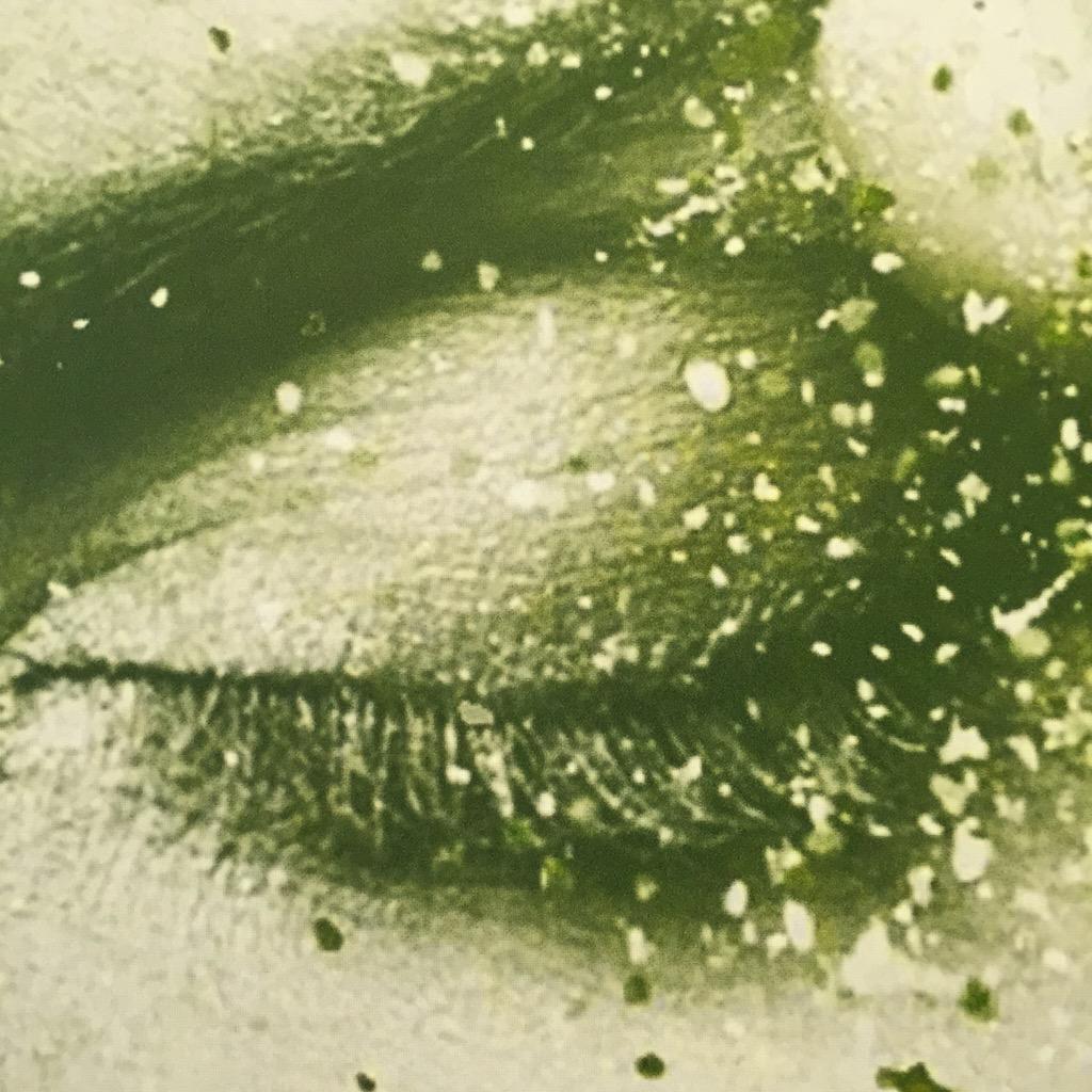 Luuk Janssen (Luukjanssen_13) Twitter