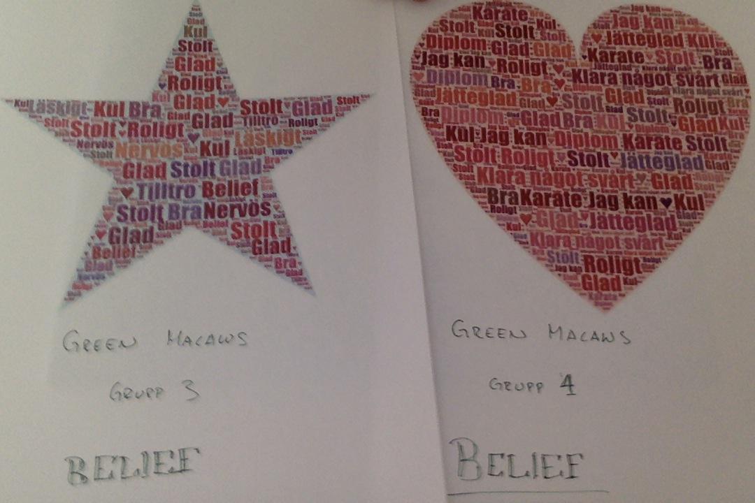 "Belief/Tilltro" enligt #SollentunaInternationalSchool #Djupdalsskolan
#Enskoldag