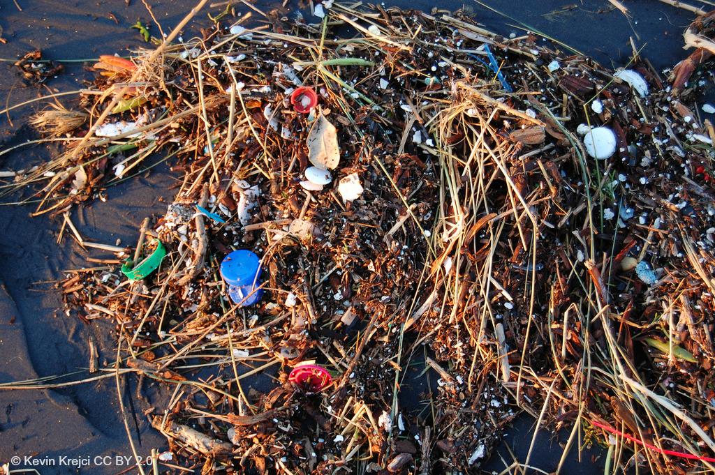 IUCN's tweet photo. Some plastic thoughts - something to ponder on #WorldOceansDay from IUCN's @PYCousteau http://t.co/FJAXPhIzk3 http://t.co/p1QVsHHbgb