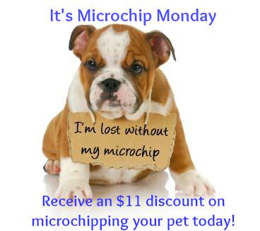 amsccanton's tweet image. Happy #PetAppreciationWeek !! Starting it off with #MicrochipMonday!! Save $11 &amp;amp; LIFETIME registration included!