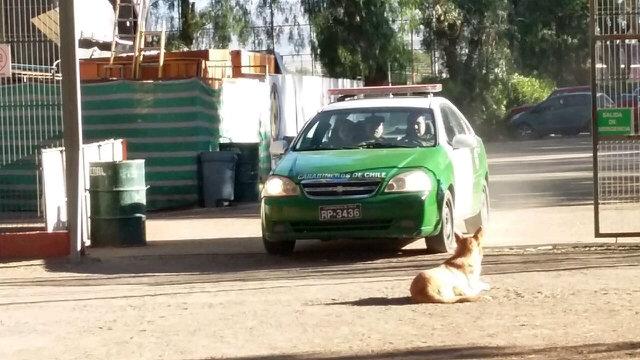 Cobreloa declinó entrenar hoy, llegó Carabineros y amistoso con Jamaica quedó en duda CG-wh3uXIAAf2zH