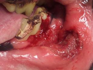 *Warning- graphic image*
This painful lip ulcer went unnoticed because the pup was still eating normally! #LiftTheLip