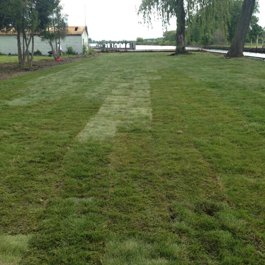 DetroitRowing's tweet image. 10 pallets of sod laid, thanks to dozens of volunteers!