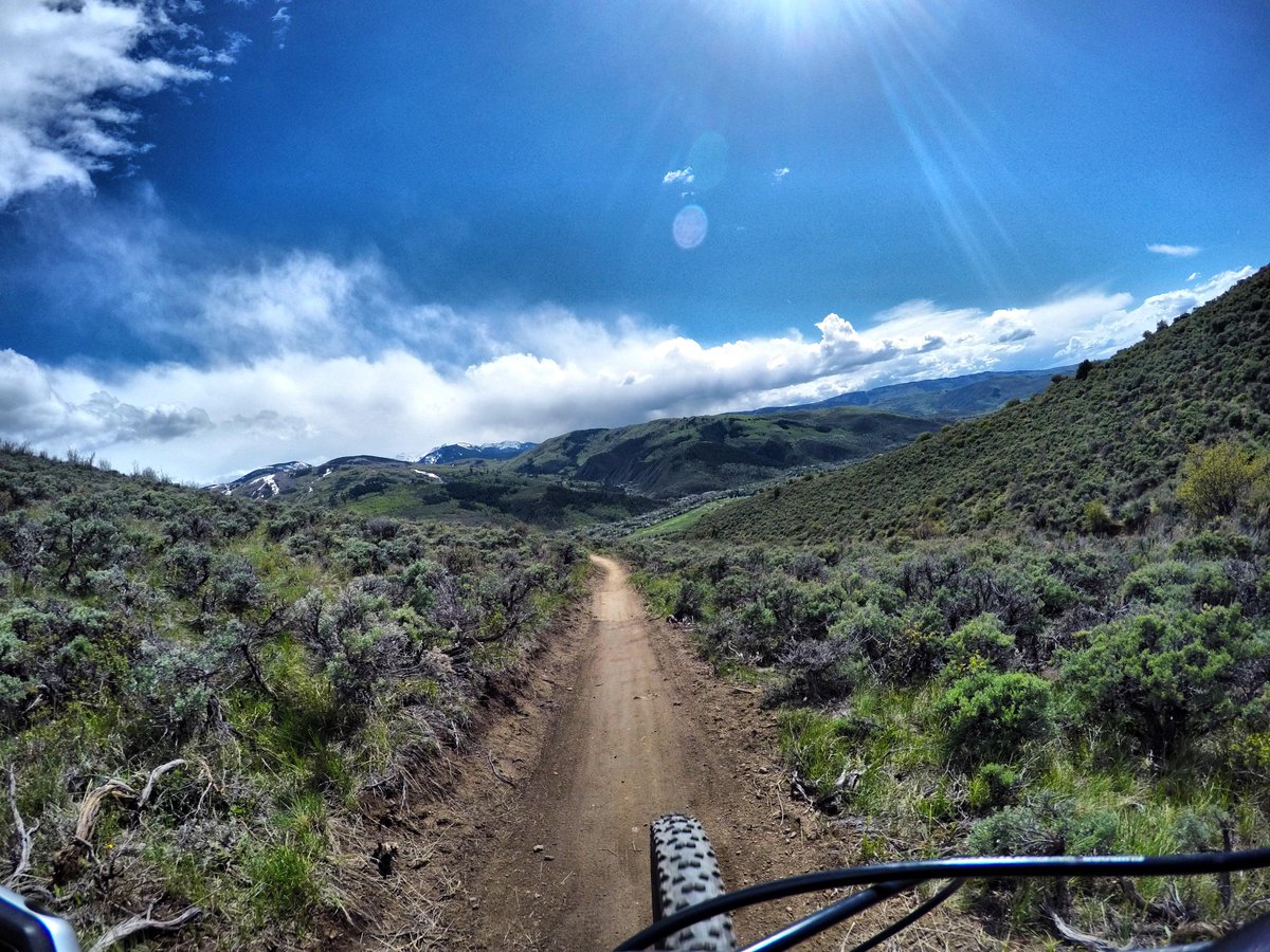 vailmtbike's tweet image. #VVMBA Early Summer Trail Update! vvmba.org/2015/06/vvmba-…