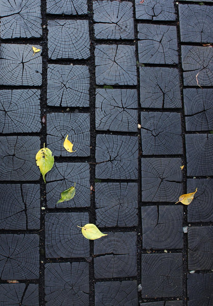 Shou Sugi Ban - the ancient Japanese art of burning timber to provide a beautiful and long lasting finish #Timber