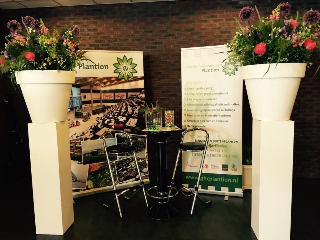 fronita bloem en groen marjoland marjoland roses twitter fronita bloem en groen marjoland marjoland roses twitter