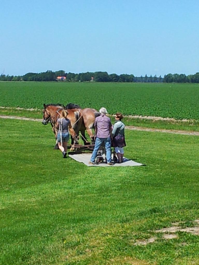 Opdnakker's tweet photo. Prachtige @UitjeTent dag volop #activiteiten http://t.co/Yb90DLeVdt