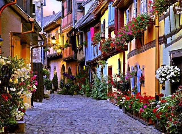 Conciencia Eco tweet media