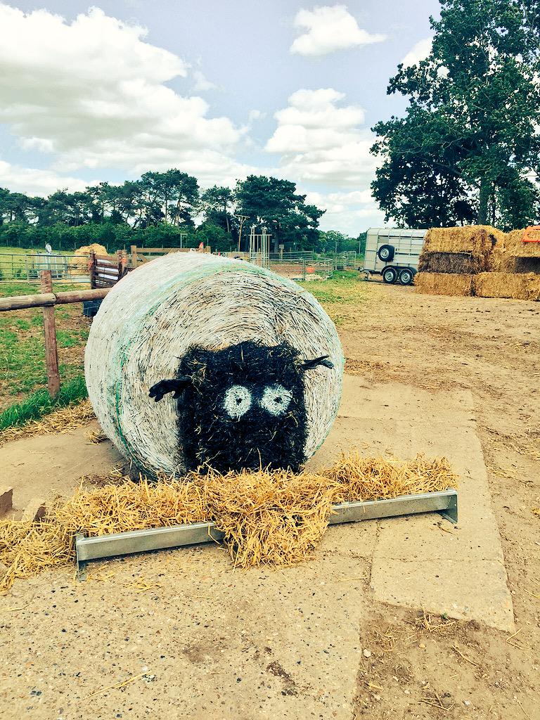 EastonOtley Farms tweet media