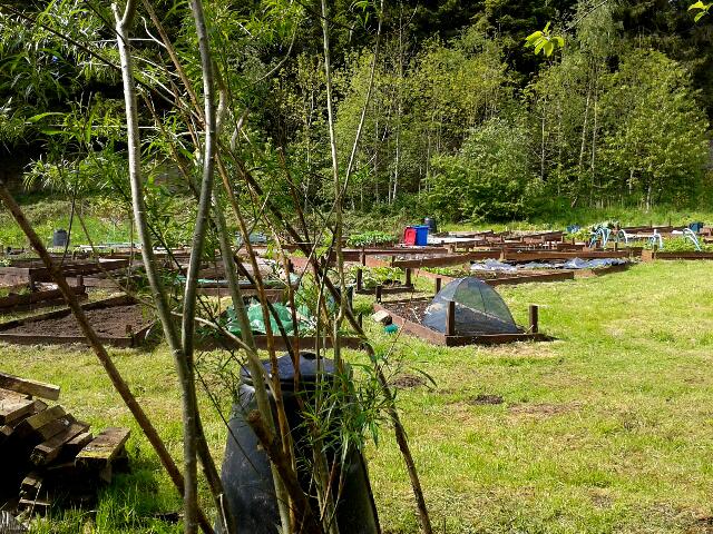 A very successful open day on the 31st May 2015.