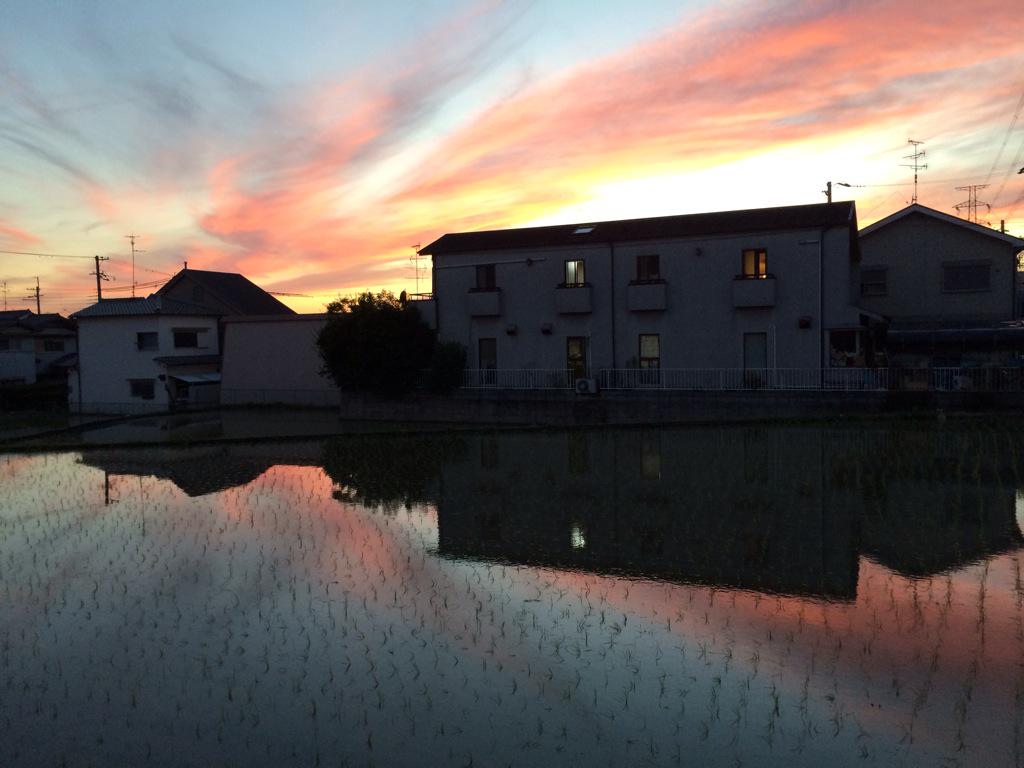 assam_h's tweet image. ウユニ風田んぼ♪