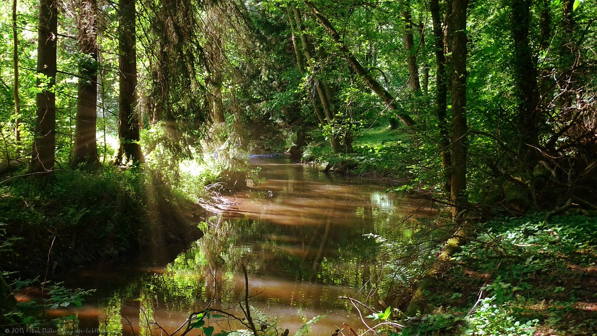 Rheinlandranger's tweet photo. Foto von mir: "Abgeschiedenheit"
http://t.co/VLRt9A6LP1
#Bach #Wald #Rheinland #Nassau #Scheuern #Natur #Landschaft http://t.co/wL9W5eFh1B