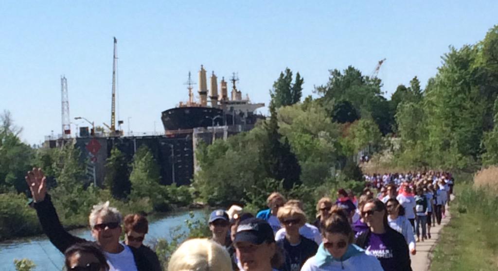 Julie Dodge- Shields tweet media