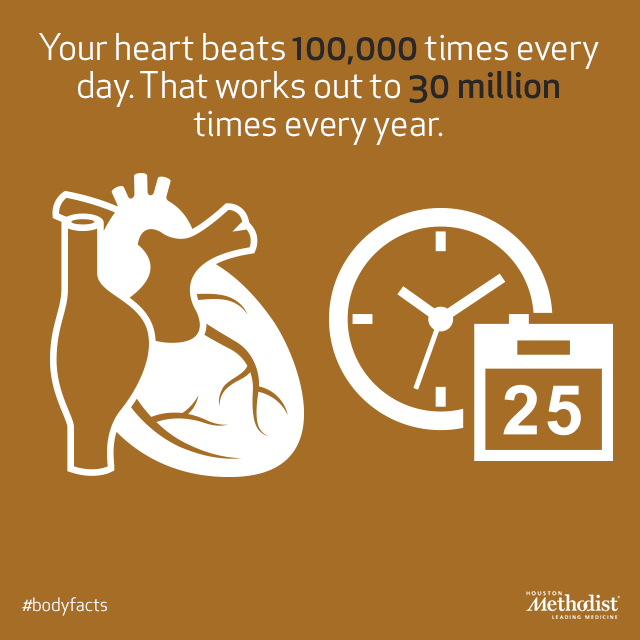 MethodistHosp's tweet image. Your heart beats 100,000 times every day #bodyfacts ^JL