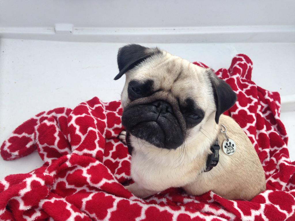 Chilling on the boat after an afternoon sailing :)