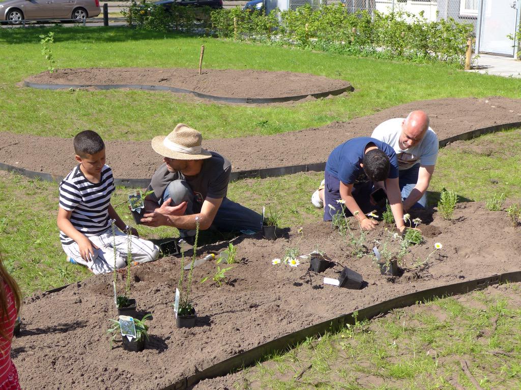 Fijn samenwerken in coöperatie in wording 033GROEN - prachtig resultaat! #eetbaar groen #buurttuin #Koppel