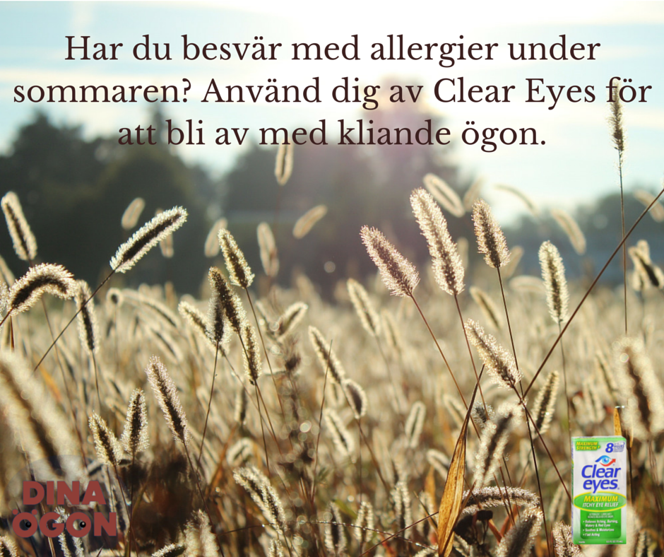 Dina Ögon (@dinaogon) on Twitter photo 