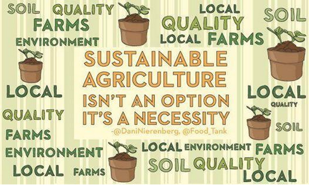 foodtank's tweet photo. "Sustainable agriculture is not an option, it's a necessity" @DaniNierenberg #WED2015 @chicagobotanic http://t.co/NsoN2Bwjod