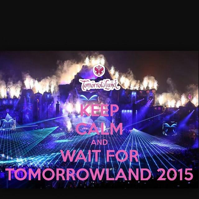 LauraMjrs's tweet photo. #Tomorroland is the best http://t.co/8Y8AXfmoMy