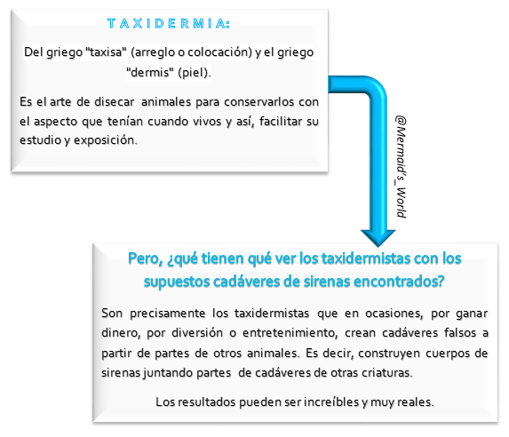 Mermaids_World's tweet photo. Las sirenas y la taxidermia: http://t.co/YbHMMKJCgi
