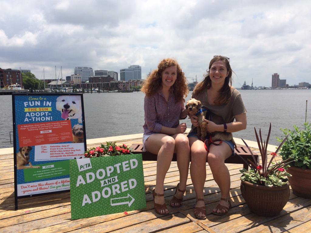 peta's tweet photo. Here's Kashi with his new family. Look how happy he is! #AdoptAtPETA #AdoptDontBuy http://t.co/qc6GkH8QMD