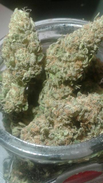 Military_Road's tweet photo. #Trainwreck #mrh #militaryroadholistic #getmedicated #mmj #smokeweed #northwest  #medical #washington #topshelf #herb http://t.co/uhHORKJMxA