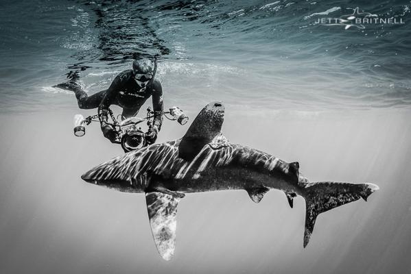 Our talented friend, Ken Kiefer, performing some underwater voodoo with his camera. #sharkdiving #Bahamas #shark