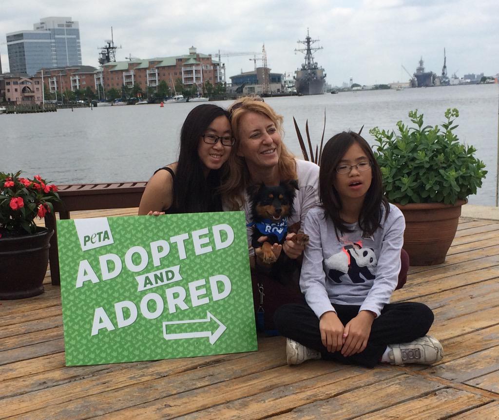 peta's tweet photo. Look how cute little Roxy is! Nothing like seeing dogs with their new families. ❤️ #AdoptAtPETA #AdoptDontBuy http://t.co/vjNFL1Up4u