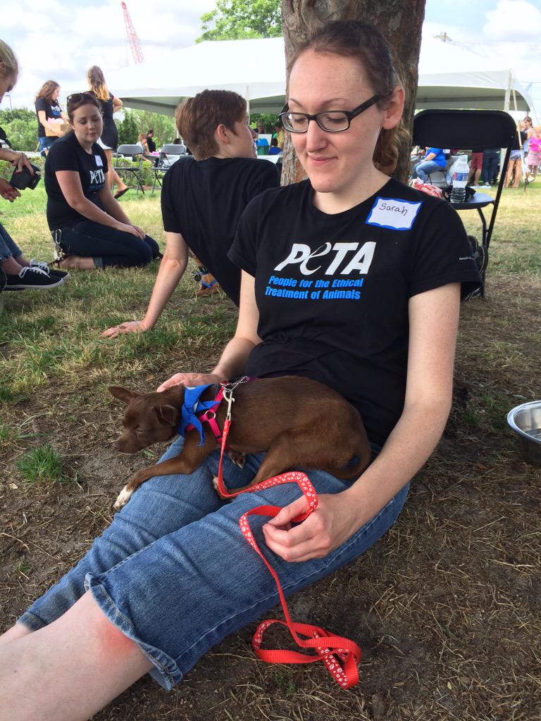 peta's tweet photo. Ricky &amp; Pebbles still need homes. If you're in the Norfolk, VA area, come on by! #AdoptAtPETA #AdoptDontBuy http://t.co/NMFHwFur7A