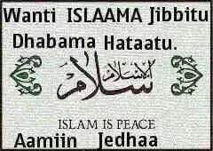 kemalIbrahim231's tweet photo. http://t.co/G37ikZPoCS