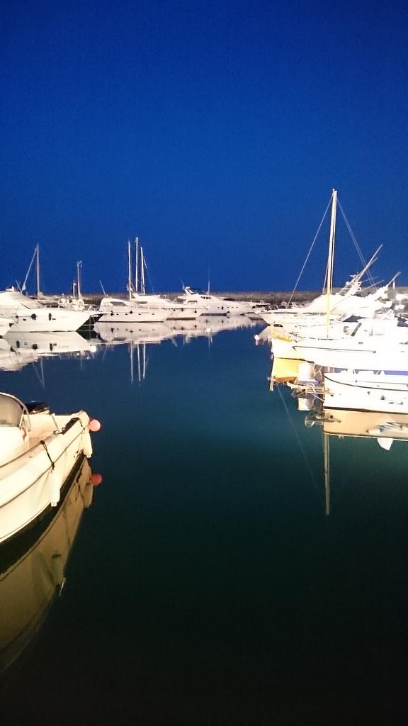 ciopred's tweet image. Estate sia