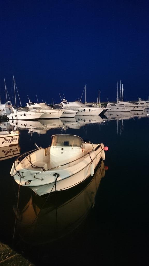 ciopred's tweet image. 