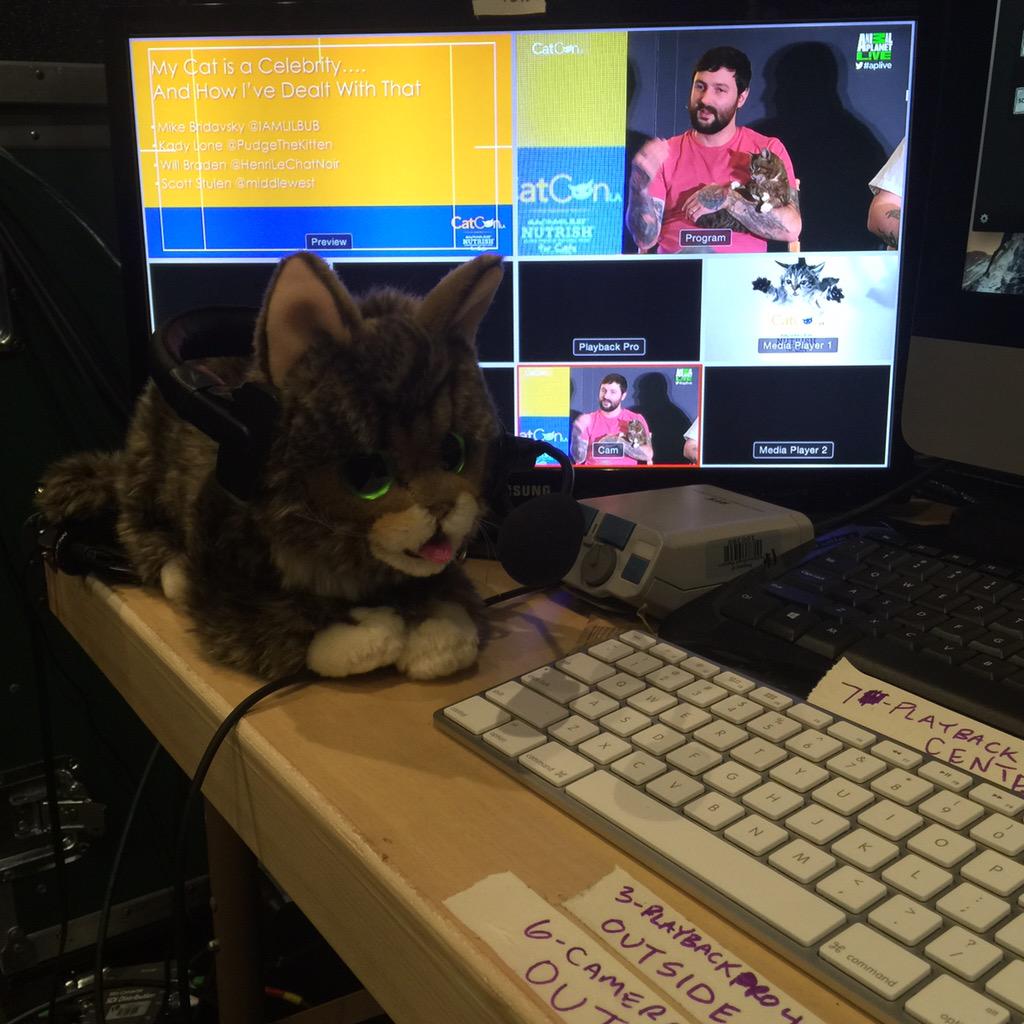 techevent's tweet image. Lil Bub our lead video tech at #CatConLA #lilbub #TEPevents