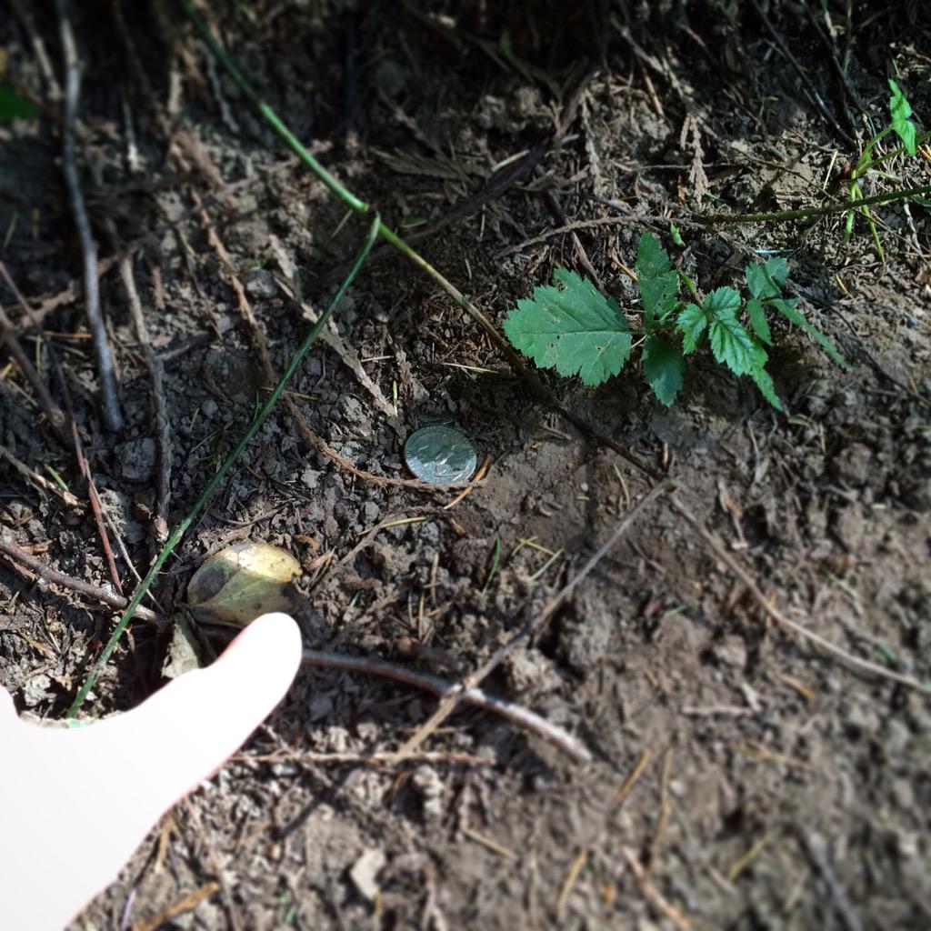 pennyprowler's tweet photo. I've never #prowled this long before, but I can't give up on the #sweep now. So close! Total $21.43 http://t.co/yy3tNpWTww