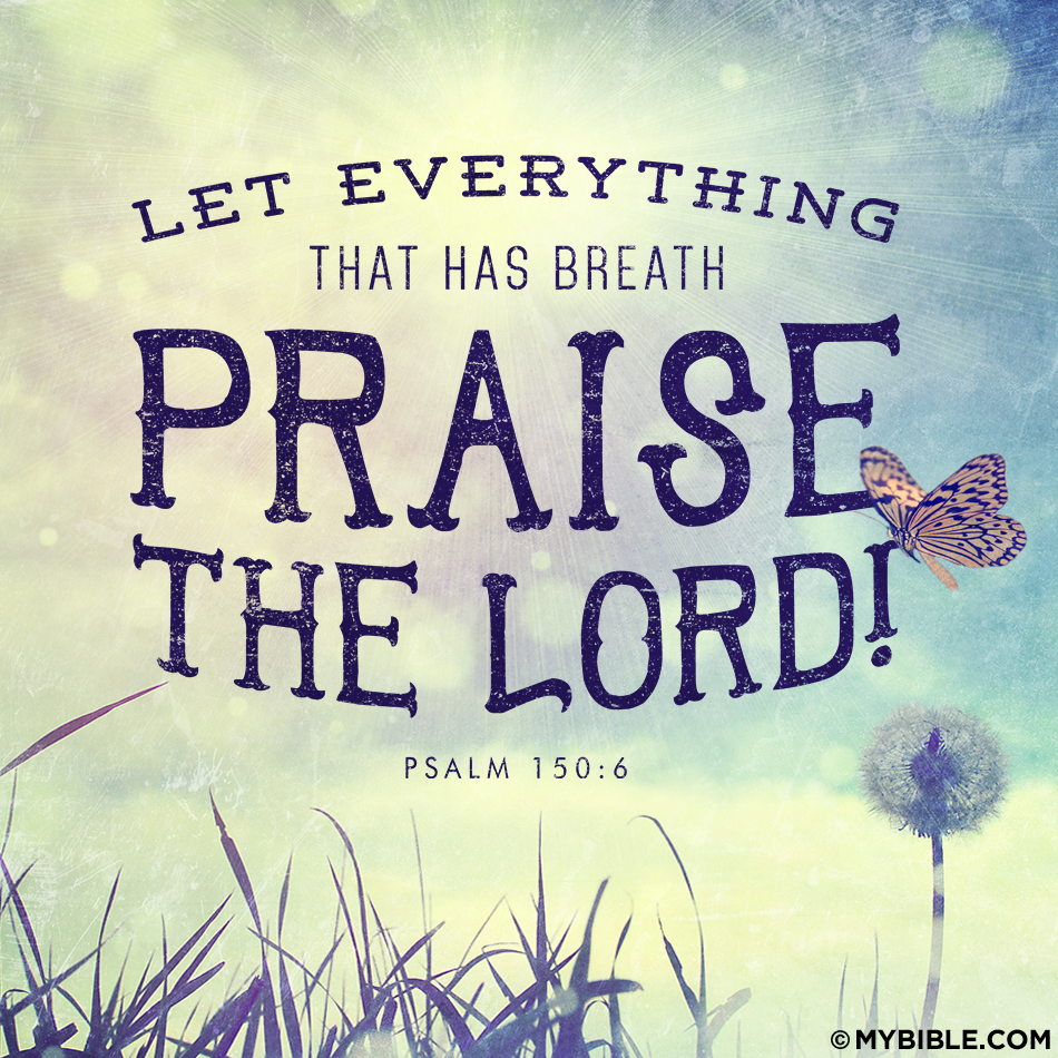 WorshipShack's tweet photo. Celebrating a lifestyle of praise @ http://t.co/uPycCa9QVg #Art #Dance #Drama #Comedy #Music #Word #Praise #Jesus http://t.co/VH6XTJGKUz