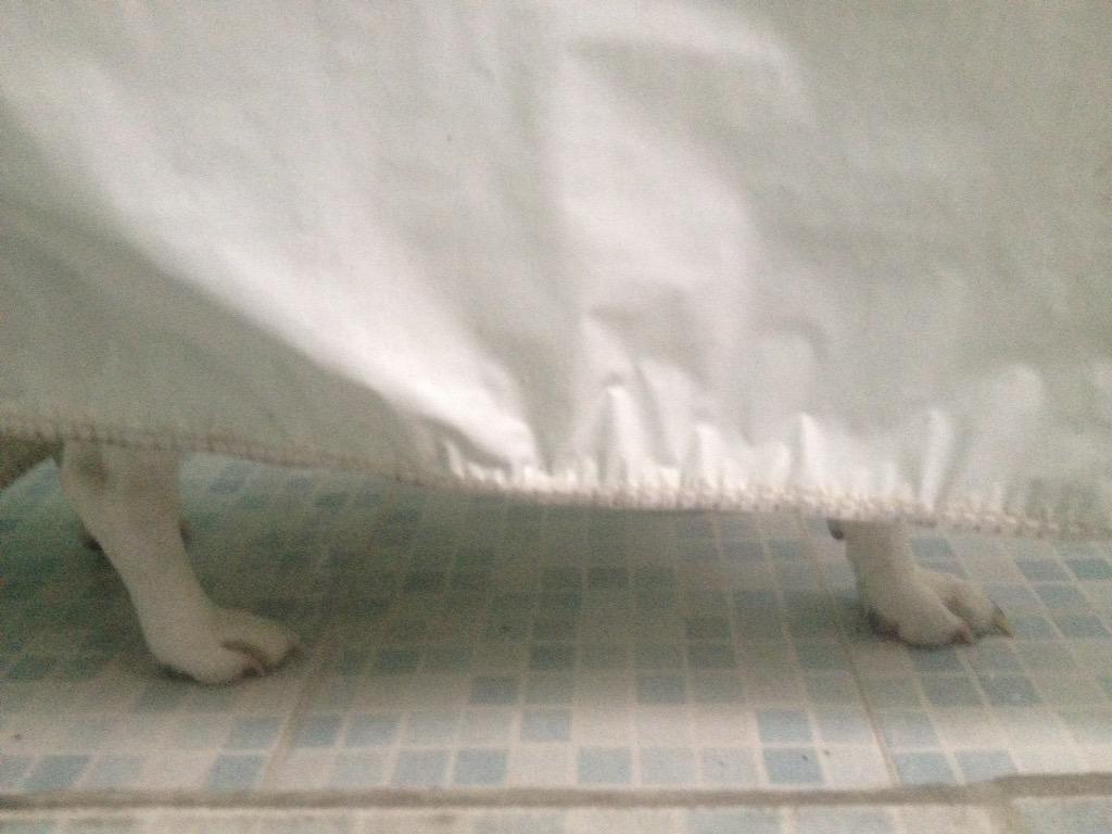 El baño está o-koopa-do #bathtime