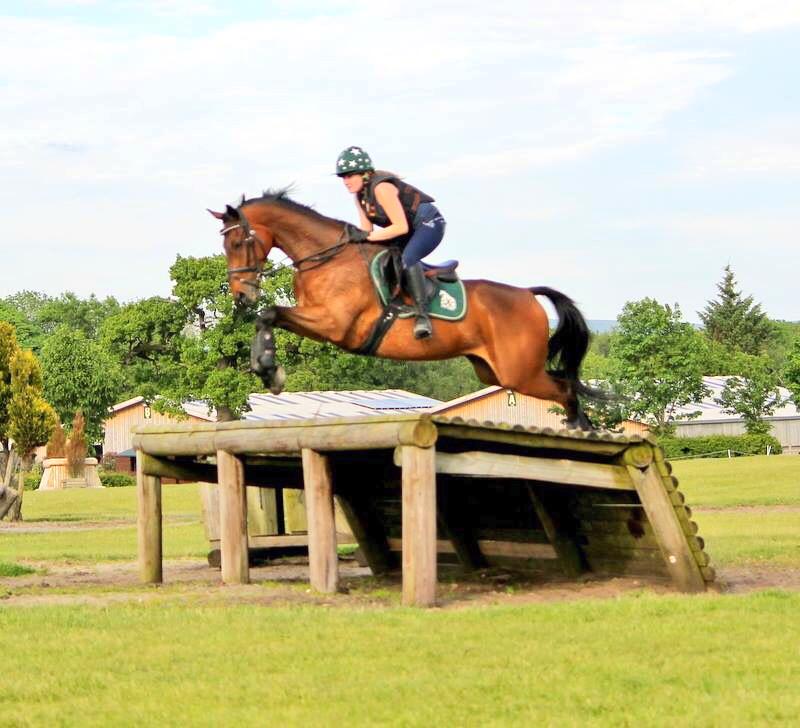 Polly_Chiverton's tweet photo. #cooldude @somerfordpark http://t.co/IzUktOP2FO