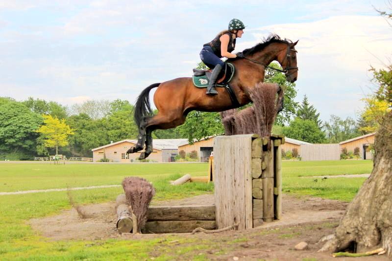 Polly_Chiverton's tweet photo. #cooldude @somerfordpark http://t.co/IzUktOP2FO