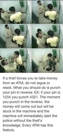 shahgulPTI's tweet image. #CoolHacks