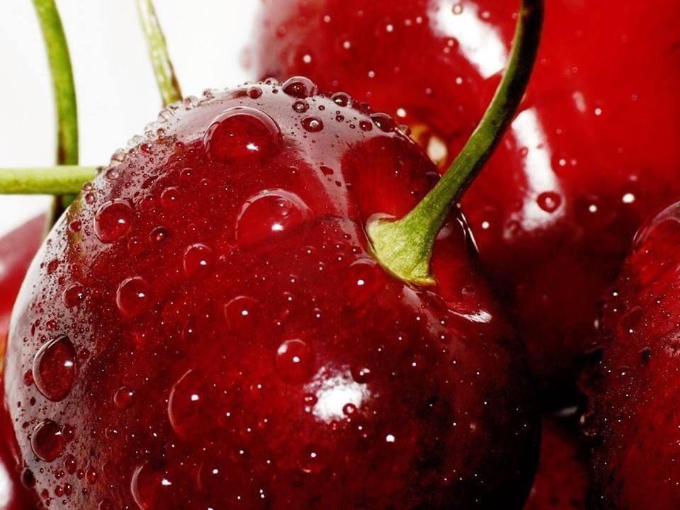 MillLaneFarm's tweet photo. Fabulous cherries in the shop yum yum..🍒 http://t.co/RYzb1JjLM0