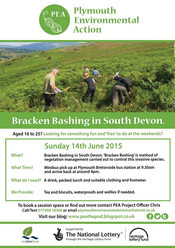 PEA_volunteer's tweet image. #Brackenbashing in South Devon!   #PEA #Plymouth #Devon #Conservation #Volunteering #weekend #joinourpod