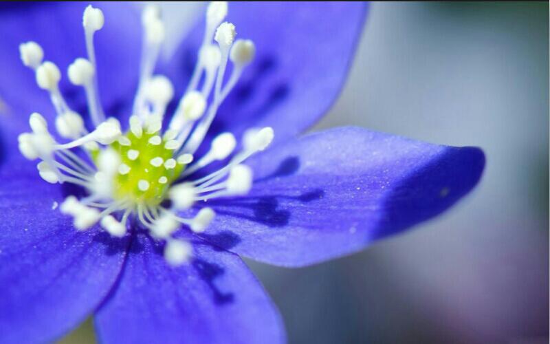ActingNature's tweet photo. La originalidad consiste en el retorno al origen. Original es aquello que vuelve a la simplicidad. http://t.co/yyU899JGOr