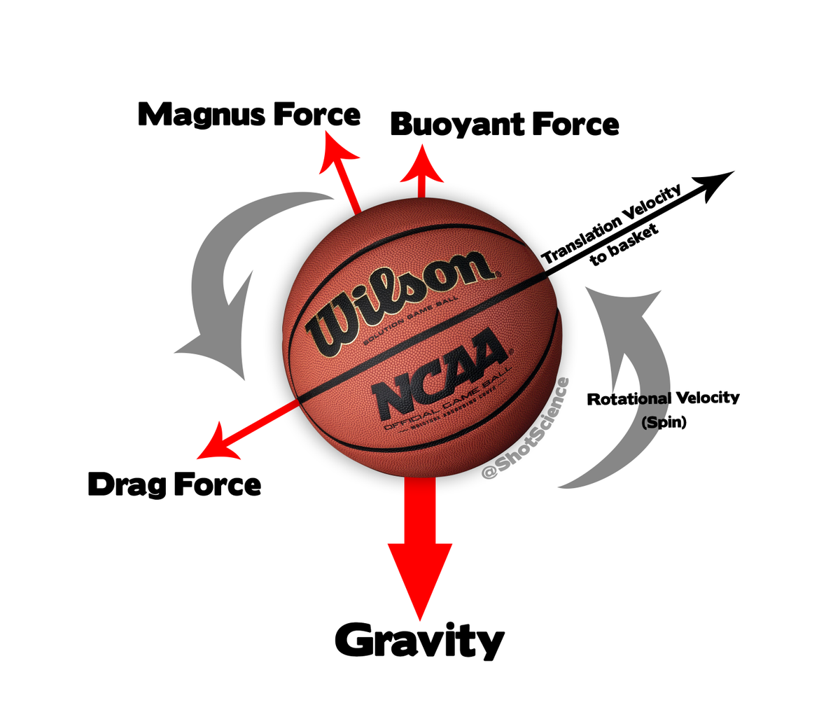 ShotScience's tweet photo. ICYMI: The 4 major physical forces acting on the #basketball when you shoot! #ShotScience
http://t.co/G9NEJP6a4b http://t.co/afEOkiyNRY