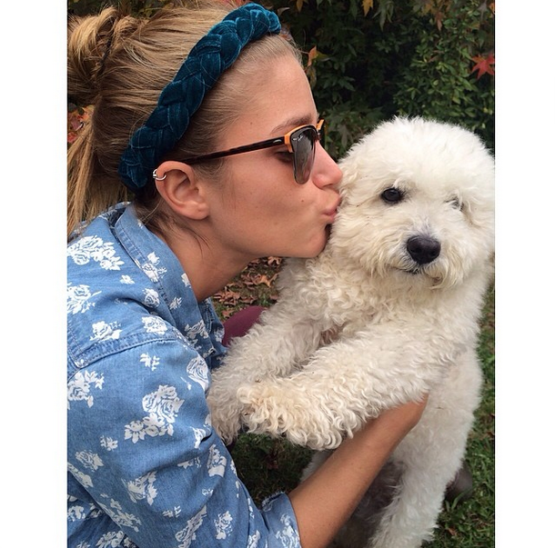 nativivasdl's tweet photo. 🐶💜 http://t.co/O8SE4P6LXl