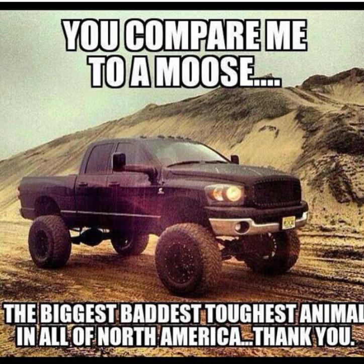 TrucksDiesel's tweet image. 