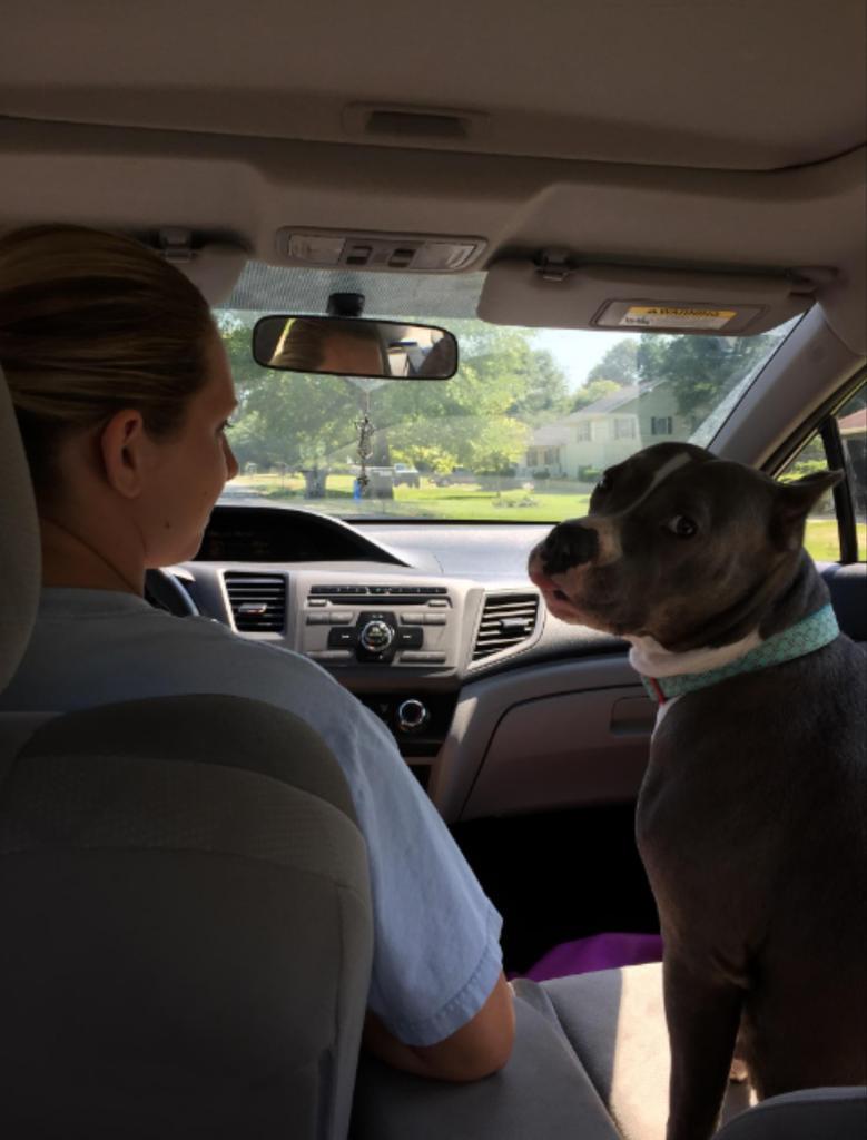 Shotgun!   (Tongue sticking out)