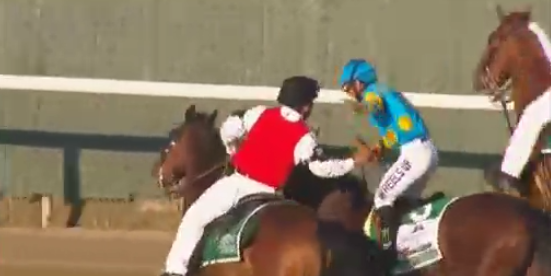 At The Races tweet media