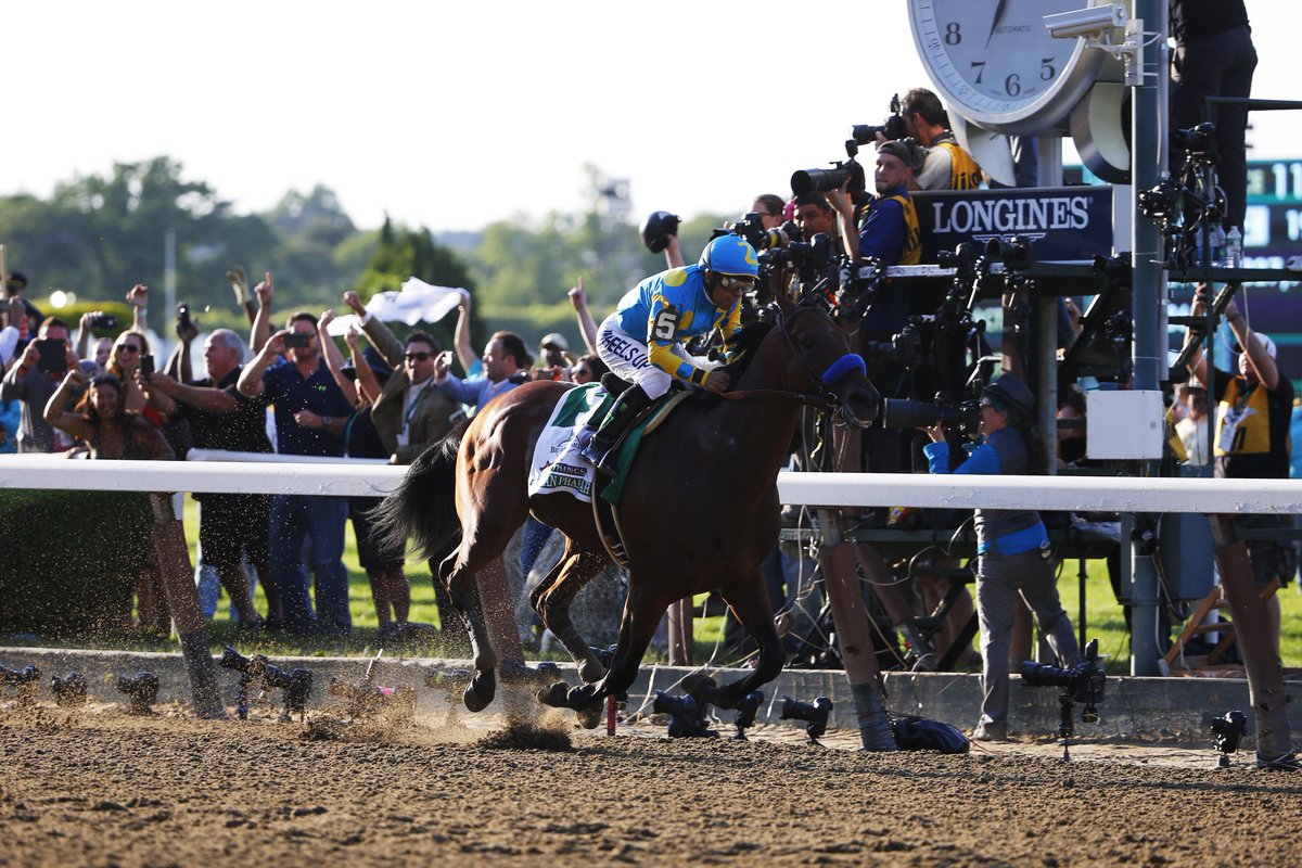 American Pharoah - Belmont Stakes 2015